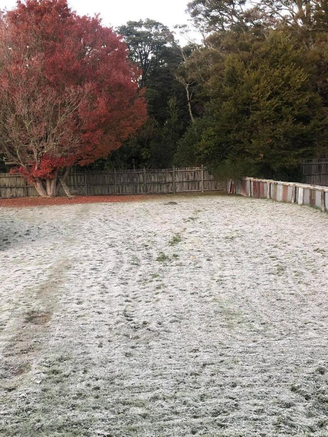 Moore St Cottage Ohakune Bagian luar foto