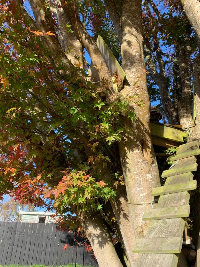 Moore St Cottage Ohakune Bagian luar foto